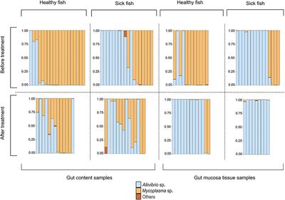 A strategic model of a host–microbe–microbe system reveals the importance of a joint host–microbe immune response to combat stress-induced gut dysbiosis